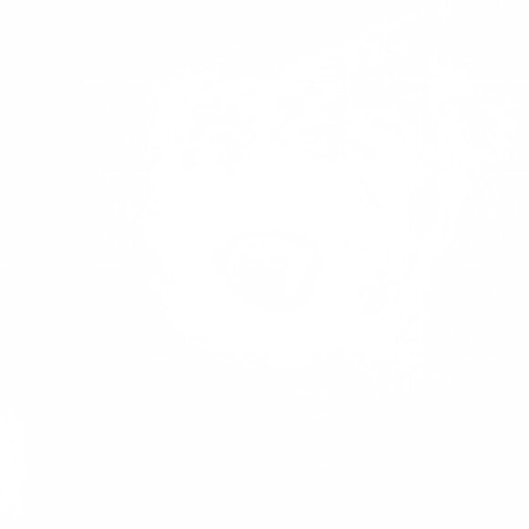 Meow Wolf Hidden Capsule T-shirt - Picture 7 of 12